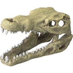 Europet Krokodil Kopf - M