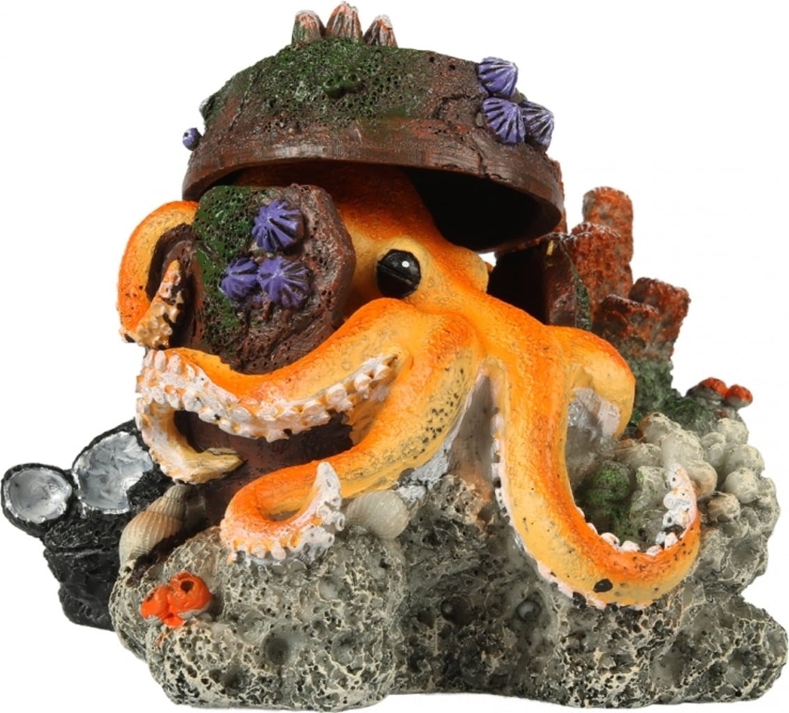 Octopus mit Korallen