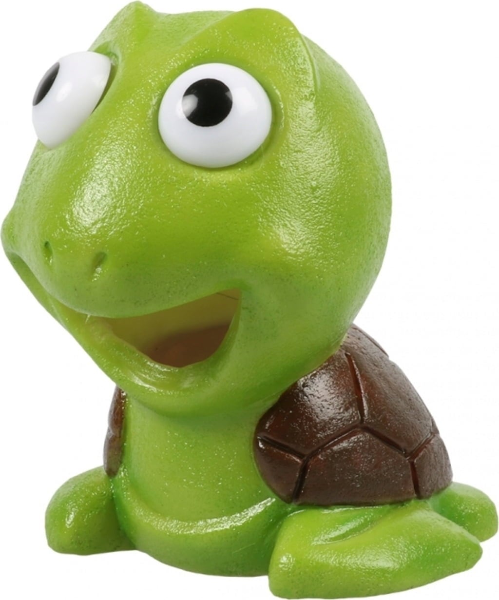 Aqua della Schildkröte