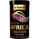 Tropical Soft Line Africa Carnivore