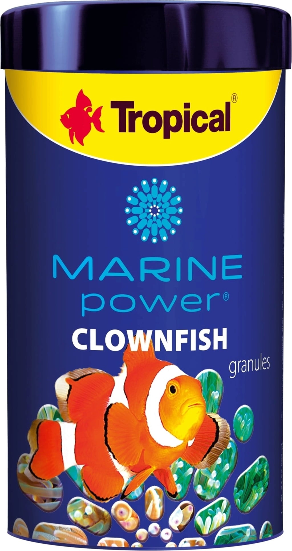 Tropical Marine Power Clownfish