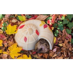 Denk Keramik Igel-Schnecke - 1 Stk