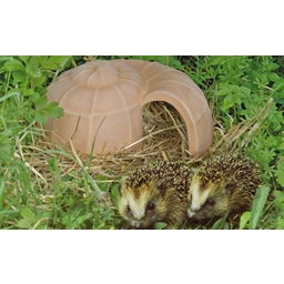 Denk Keramik Igel-Schnecke - 1 Stk