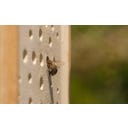 Denk Keramik Wildbienenhaus - 1 Stk