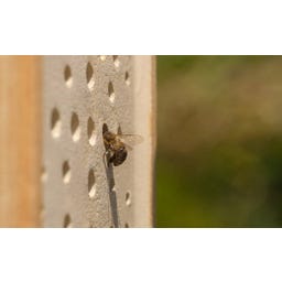 Denk Keramik Wildbienenhaus - 1 Stk