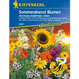 Kiepenkerl Sommerabend Mischung - 1 Pkg