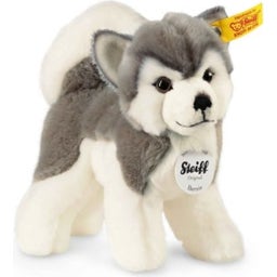 Steiff Bernie Husky, 17 cm - 1 Stk