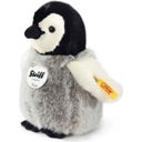 Steiff Flaps Pinguin, 16 cm - 1 Stk