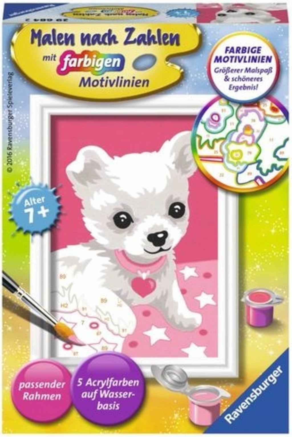 Malen nach Zahlen mit farbigen Motivlinien - Chihuahua