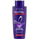 L'Oreal Paris ELVITAL Shampoo Color Glanz Purple - 200 ml