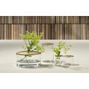 Villa Collection Vase ELVA aus Glas & Messing - ⌀ 20,5 cm