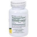 NaturesPlus® Vitamin B2 100 mg - 90 Tabletten