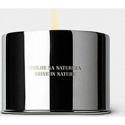 Costa Brazil Vela - Jungle Candle - 467 g