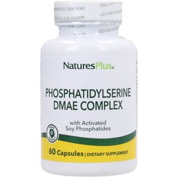 NaturesPlus® Phosphatidylserin/DMAE Complex - 60 veg. Kapseln
