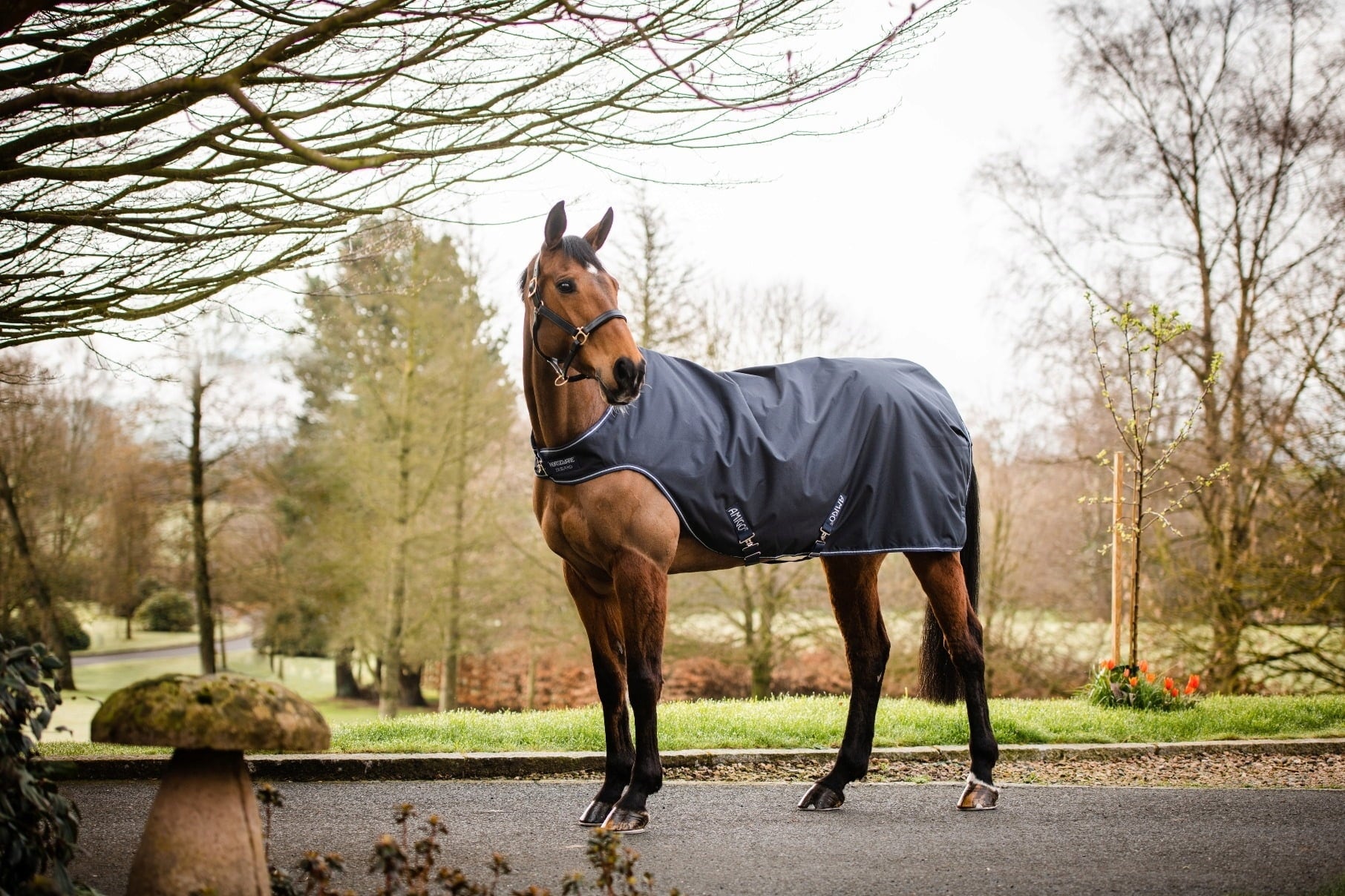 Horseware Ireland Amigo Walker 100g navy/white