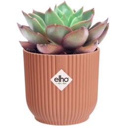 elho vibes fold rund mini 11 cm - zartrosa