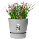 elho greenville Topf rund 14 cm - living beton