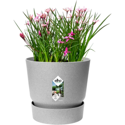 elho greenville Topf rund 14 cm - living beton