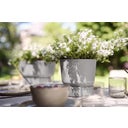 elho greenville Topf rund 14 cm - living beton