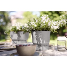 elho greenville Topf rund 14 cm - living beton