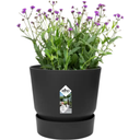 elho greenville Topf rund 14 cm - living schwarz