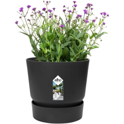 elho greenville Topf rund 14 cm - living schwarz