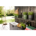 elho greenville Topf rund 14 cm - living schwarz