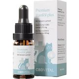 CBD Hanföl für Katzen