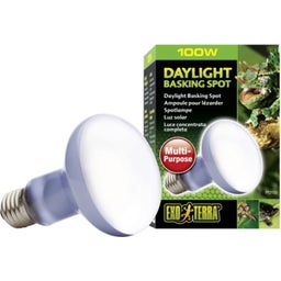 Exo Terra Daylight Basking Spot - R25/100 W