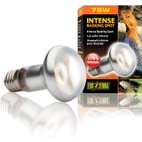 Exo Terra Intense Basking Spot