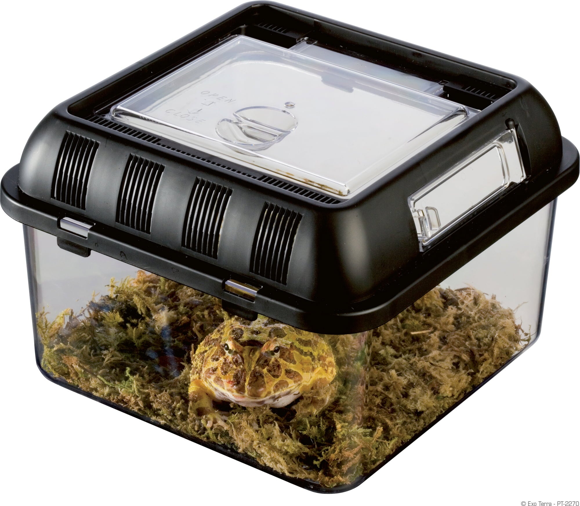 Exo Terra Brutbox - S