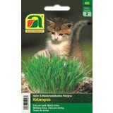 AUSTROSAAT Katzengras