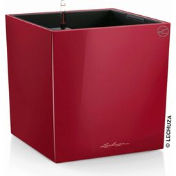 Lechuza Pflanzgefäß CUBE Premium 50 - Scarlet Rot Hochglanz