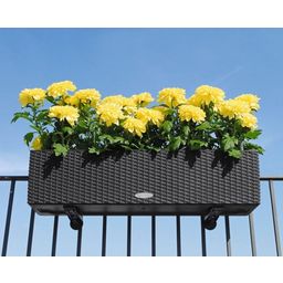 Lechuza Balkonkastenhalter für Balconera - schwarz