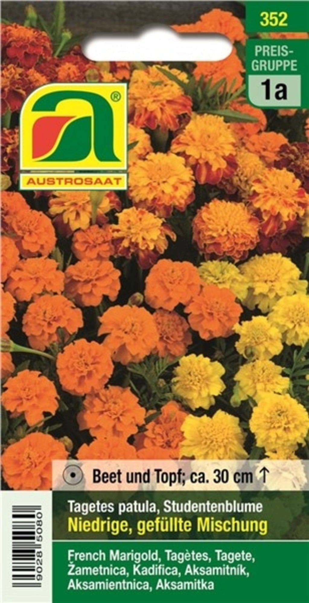 AUSTROSAAT Tagetes 