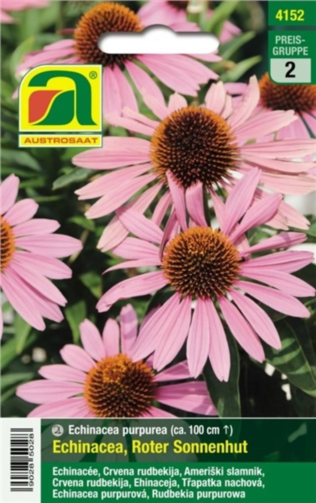 Echinacea 