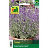 AUSTROSAAT Lavendel "Echter Lavendel