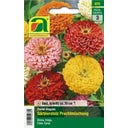 AUSTROSAAT Zinnien 