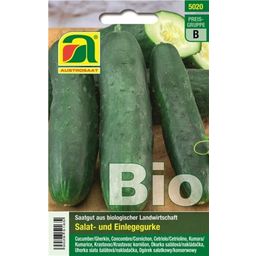 AUSTROSAAT Bio Salat- und Einlegegurke "Delikatess"
