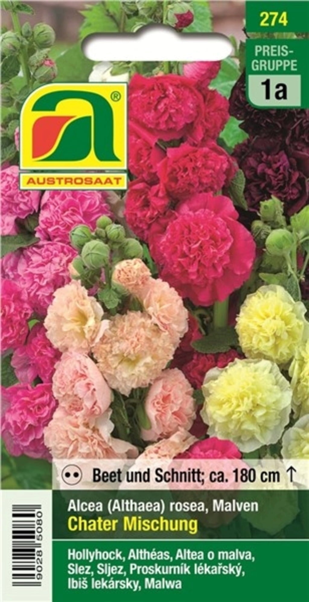 AUSTROSAAT Malve, Pappelrose 