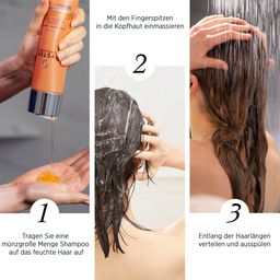 System Professional Solar Hair & Body Shampoo (SOL1)
