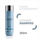 System Professional Hydrate Shampoo (H1) - 250 ml