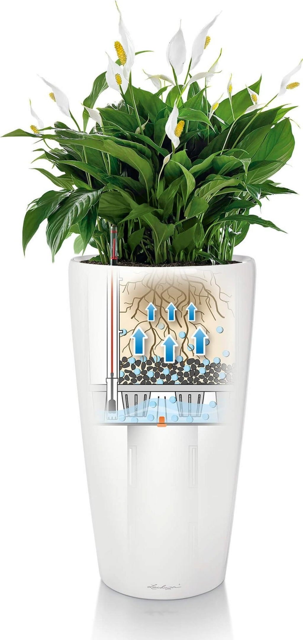 Lechuza Pflanzgefäß Rondo Premium 40