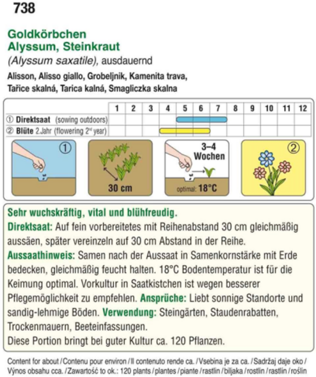AUSTROSAAT Goldkörbchen - 1 Pkg