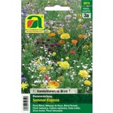 AUSTROSAAT Blumenmischung "Sommer-Express"