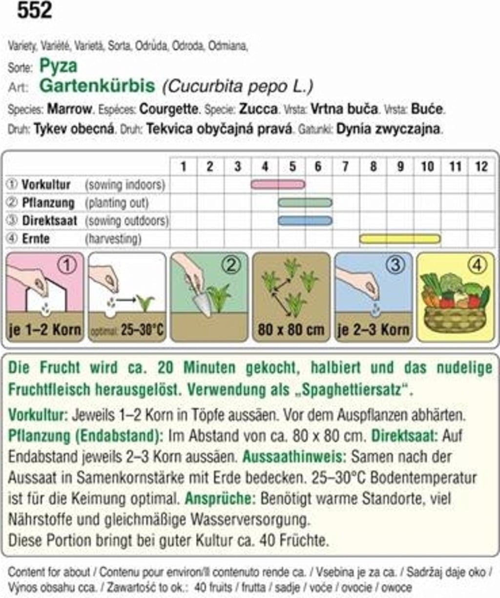 AUSTROSAAT Spaghetti-Kürbis 