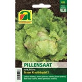 Eissalat "Grazer Krauthäuptel 2" (Pillensaat)