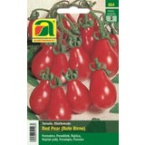 AUSTROSAAT Obst-Tomate "Red Pear" (Rote Birne)