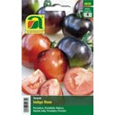 AUSTROSAAT Blaue Tomate 