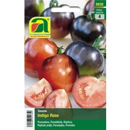 AUSTROSAAT Blaue Tomate 